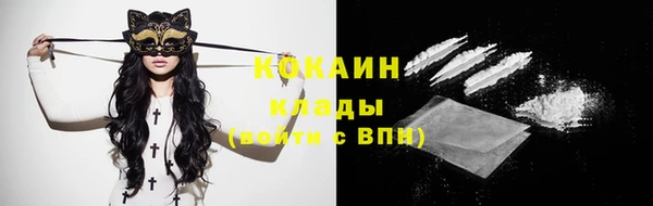 соль ск Костерёво