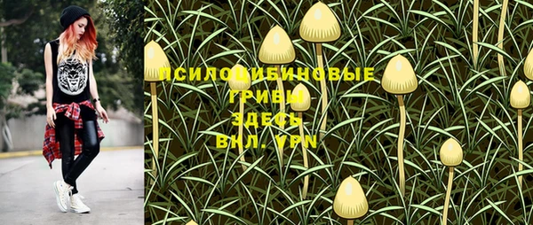 тгк Корсаков