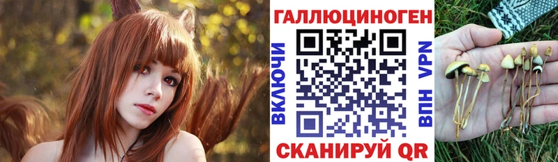 хочу   Москва  Псилоцибиновые грибы Psilocybe 