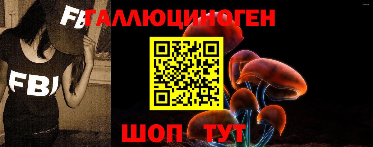 Галлюциногенные грибы Cubensis  Галлюциногенные грибы GOLDEN TEACHER  Вход с VPN  Москва 